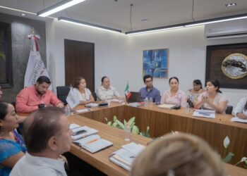 Revisa el gobierno del estado avances de las medidas de la Alerta de Violencia de Género con municipios