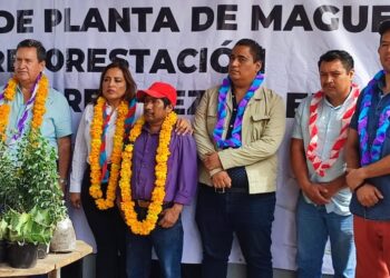 Entrega Semaren plantas de maguey a productores de mezcal
