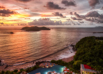 Hoteles Pet Friendly atraen principalmente al turismo extranjero