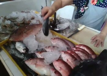 Revendedores de pescado reportan incremento al costo de mariscos