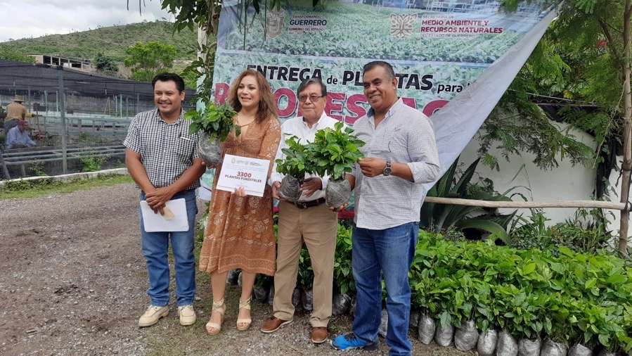 reforestacion_ SEMAREN_gro-gob.jpg