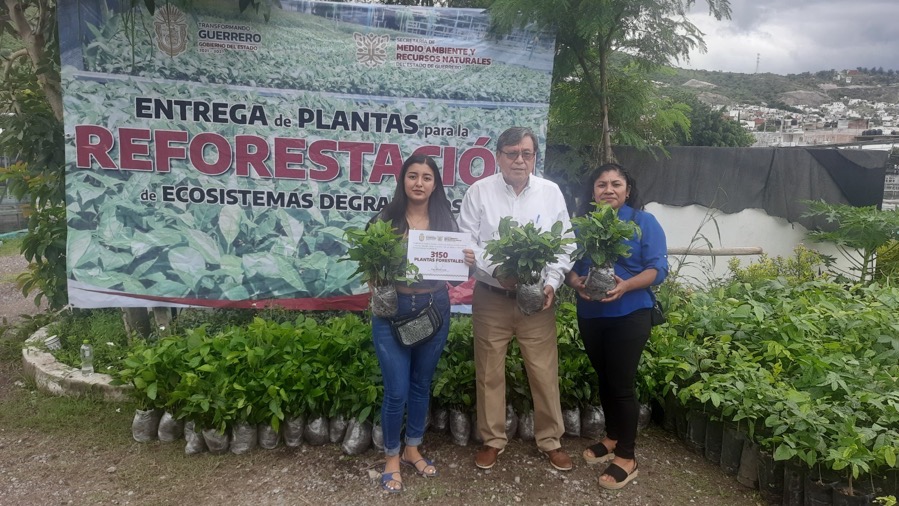 reforestacion_ SEMAREN_gro-gob.jpg
