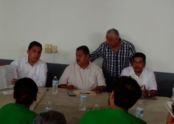 Contaminación por termoeléctrica en Petacalco está al límite de norma