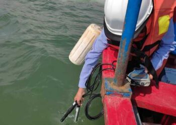 Senasica monitorea playas y moluscos de Zihuatanejo, buscan bacteria comecarne