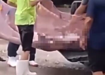 Fallece una persona en Nuxco, buscaba proteger su ganado