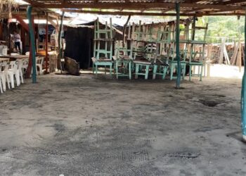 Enramaderos de playa Linda, Ixtapa se vieron afectados por Max