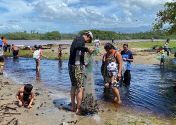 Aprovechan desborde de laguna El Negro para sacar camarón