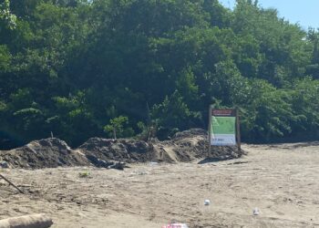 Piden colocar malla en estero de playa Linda, Ixtapa