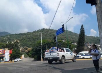 Conapesca retira cimbras ilegales en litoral de Zihuatanejo