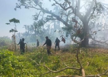 SGIRPCGRO alerta por riesgos de incendios suburbanos en Acapulco y Coyuca de Benítez