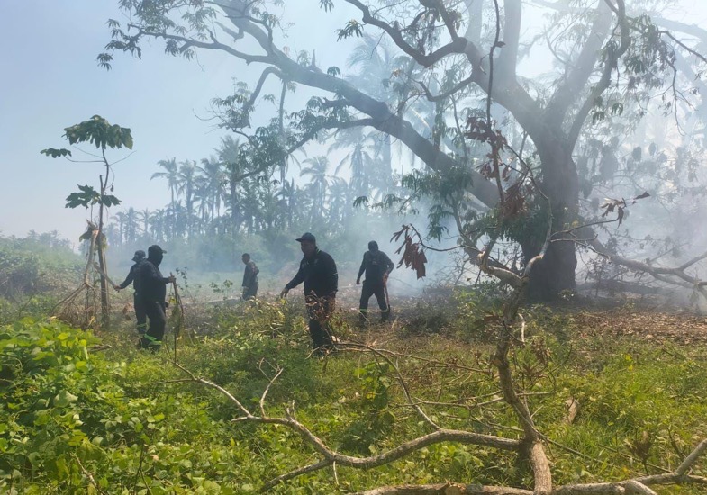 incendios-suburbanos-acapulco-coyuca_.jpg