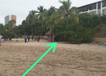 Fallece turista por mordida de tiburón en playa Quieta, Ixtapa