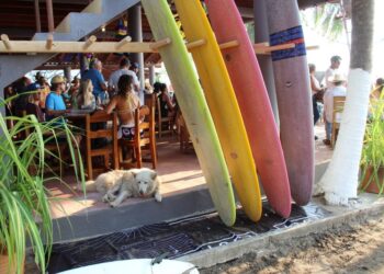 Saladita al 100% en reservación de hotel y restaurantes al 90%