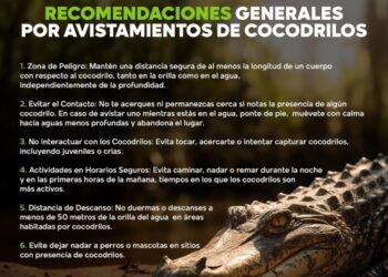 Emiten recomendaciones a bañistas ante el incremento de cocodrilos en el mar