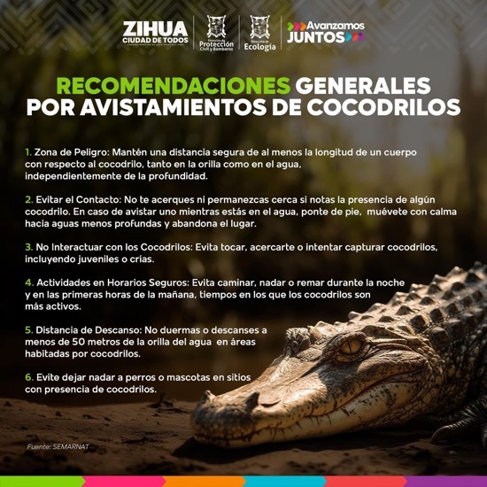 recomendaciones-cocodrilos-incremento-ixtapazihuatanejo.jpg