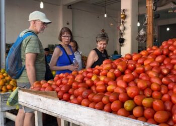 Productos de la canasta básica como el jitomate, sube hasta 75 pesos por kilo