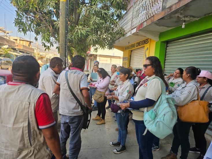dengue-entidad-gro_vector_.jpg