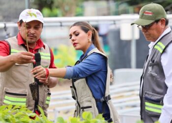 Alista Evelyn Salgado campaña de reforestación para Acapulco y Coyuca de Benítez