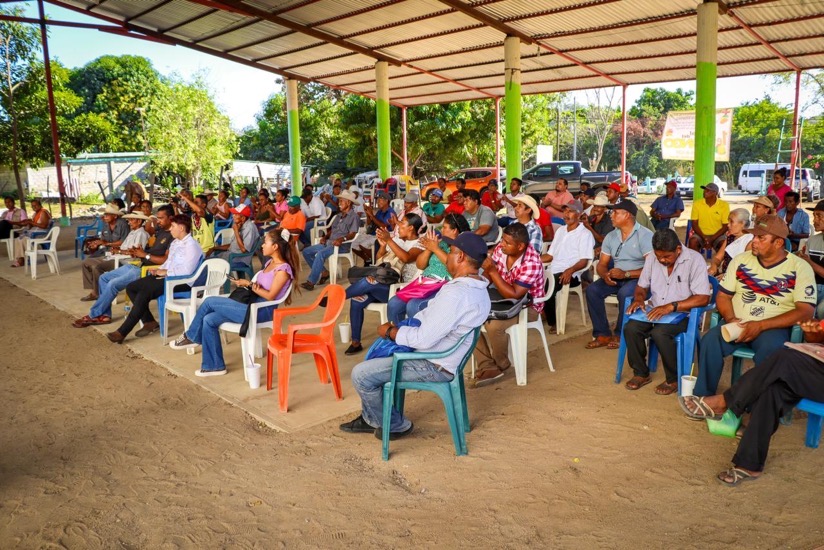 festival-mango-copala-gro-florencio-villareal_.jpg