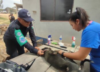 Realizan jornada de esterilización canina y felina en el cuartel regional de la Policía Estatal de Acapulco