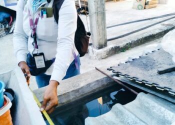 Continúa sector Salud con vigilancia epidemiológica del dengue en Acapulco y Coyuca