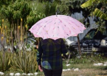 LA SGIRPCGRO alerta por altas temperaturas en los próximos días en gran parte del estado