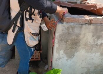 Continúan las acciones de combate al dengue de manera permanente en Guerrero: SSG