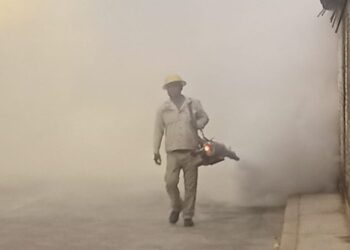 Registra Guerrero disminución de casos de dengue: SSG