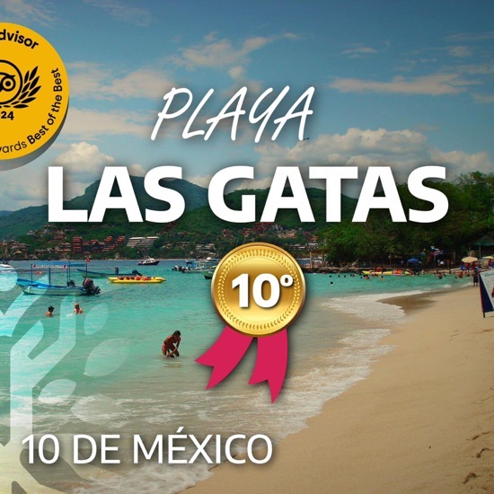las-gatas_premio-trip-2024.jpg