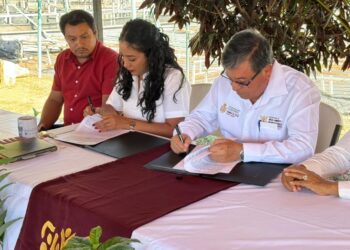 Firman la SEMAREN y Grupo Aca convenio para la reforestación de Acapulco con 10 mil árboles