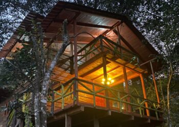Mesas de Bravo reportan lleno total en habitaciones