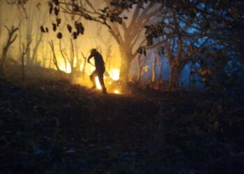 Se combaten seis incendios forestales en Guerrero: SGIRPCGRO