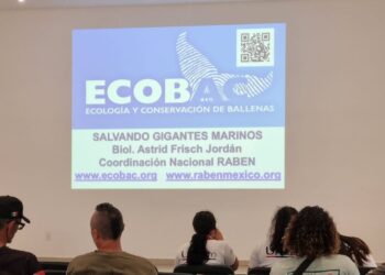 Imparten conferencia sobre rescate de ballenas enmalladas