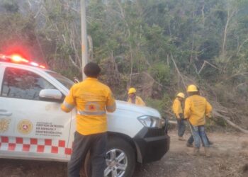 Continúa SGIRPCGRO con labores de combate en el incendio forestal del parque nacional El Veladero