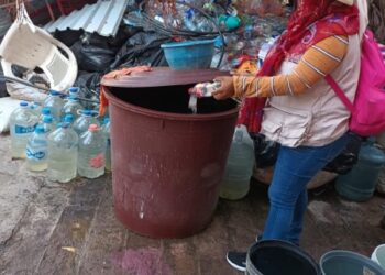 El combate al dengue en Guerrero continúa de manera permanente: SSG