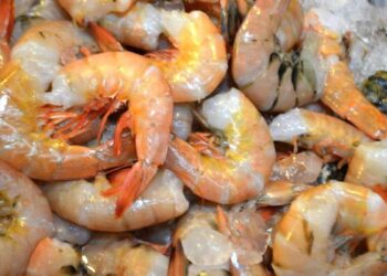 Emite SSG recomendaciones al comprar pescados y mariscos para esta Semana Santa