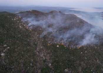 Incendios forestales de Acapulco no representan riesgo para viviendas cercanas