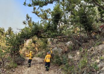 GOBIERNO DEL ESTADO ATIENDE NUEVO INCENDIO FORESTAL EN TERRENOS DEL PARQUE NACIONAL “EL VELADERO”