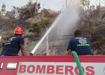 Continúan las labores de sofocación del incendio en el parque nacional El Veladero en Acapulco