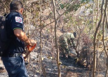 SE TRABAJA PARA LIQUIDAR NUEVO INCENDIO FORESTAL EN EL PARQUE EL VELADERO