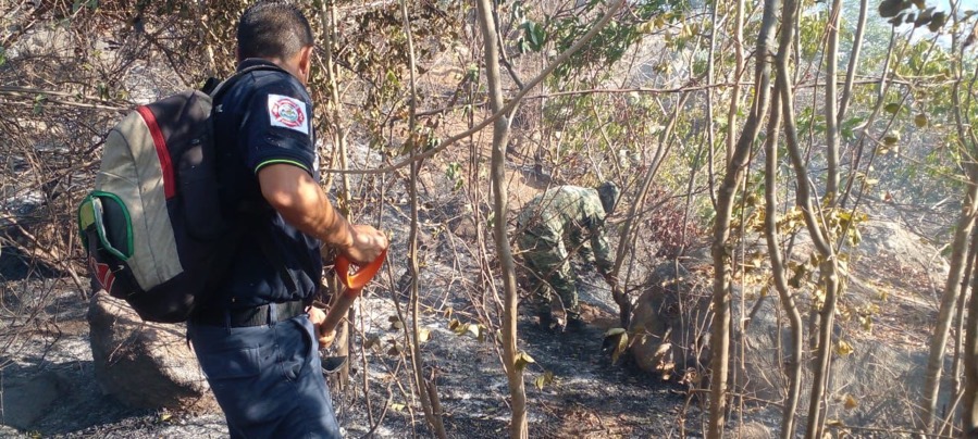 nuevo-incendio-parque-el-veladero.jpg