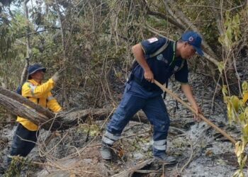 BRIGADISTAS DE LOS TRES NIVELES DE GOBIERNO SOFOCAN INCENDIO FORESTAL EN TERRENOS DEL PARQUE NACIONAL “EL VELADERO”