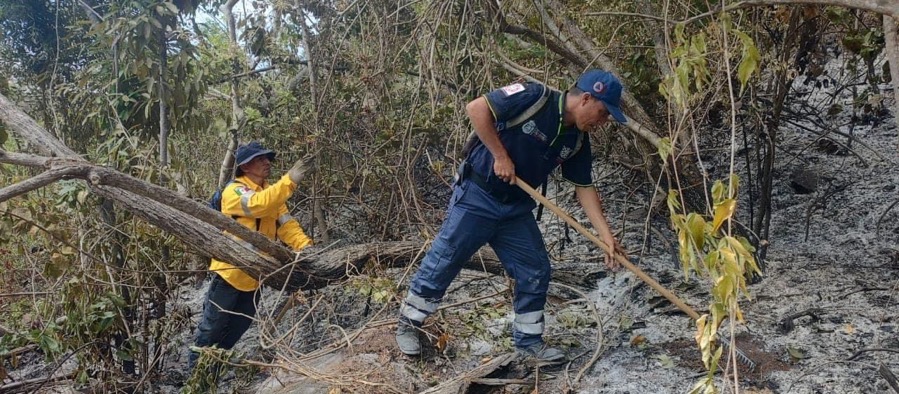 sofocan-incendio-parque-el-veladero.jpg