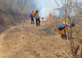 Personal de los tres niveles de gobierno trabajan en el combate de incendios forestales activos en Guerrero