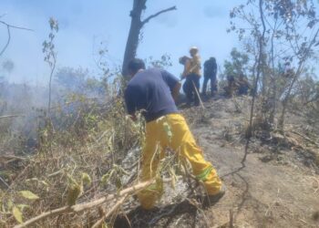 Controlado al 100 por ciento el incendio forestal de El Veladero en Acapulco