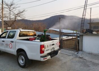Intensifica la SSG brigadas para controlar el dengue en localidades de alta incidencia
