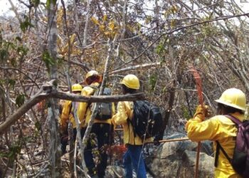 PERSONAL DE LOS TRES ÓRDENES DE GOBIERNO TRABAJAN EN LA SOFOCACIÓN DE DEL INCENDIO FORESTAL EN “EL VELADERO”