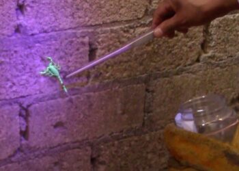 SSG emite recomendaciones para evitar intoxicaciones por picadura de alacrán