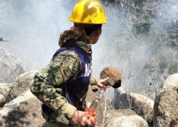 INCENDIO FORESTAL EL VELADERO PODRÍA QUEDAR LIQUIDADO EN SU TOTALIDAD EN LAS PRÓXIMAS HORAS: SGIRPCGRO