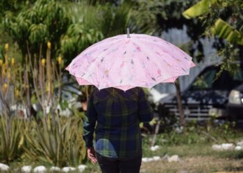 Alerta SGIRPCGRO de altas temperaturas y ambiente muy caluroso para los próximos días por onda de calor